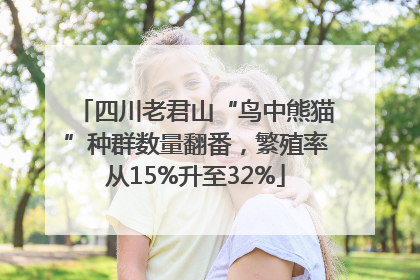 四川老君山“鸟中熊猫”种群数量翻番，繁殖率从15%升至32%