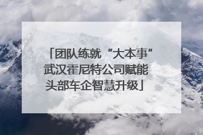 团队练就“大本事” 武汉霍尼特公司赋能头部车企智慧升级