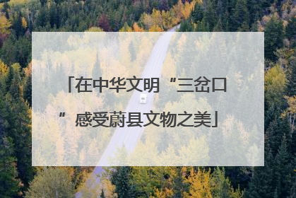 在中华文明“三岔口”感受蔚县文物之美