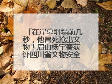 在崖墓坍塌前几秒，他冒死抢出文物！眉山杨宇春获评四川省文物安全守护者