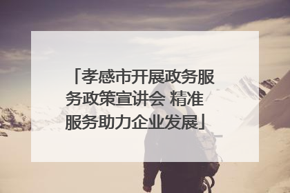 孝感市开展政务服务政策宣讲会 精准服务助力企业发展