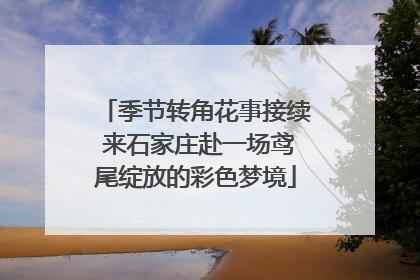季节转角花事接续 来石家庄赴一场鸢尾绽放的彩色梦境