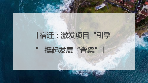 宿迁：激发项目“引擎” 挺起发展“脊梁”