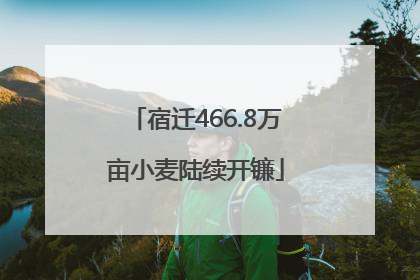 宿迁466.8万亩小麦陆续开镰