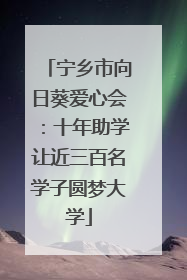 宁乡市向日葵爱心会：十年助学让近三百名学子圆梦大学