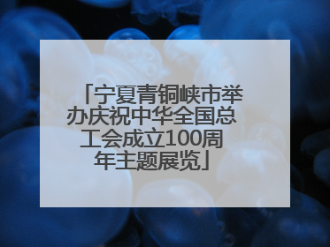 宁夏青铜峡市举办庆祝中华全国总工会成立100周年主题展览