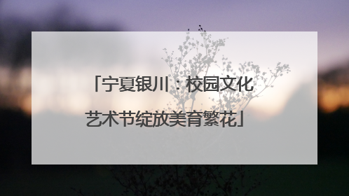 宁夏银川：校园文化艺术节绽放美育繁花
