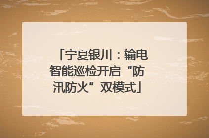 宁夏银川：输电智能巡检开启“防汛防火”双模式