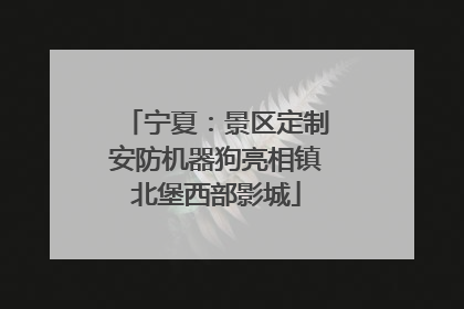 宁夏：景区定制安防机器狗亮相镇北堡西部影城