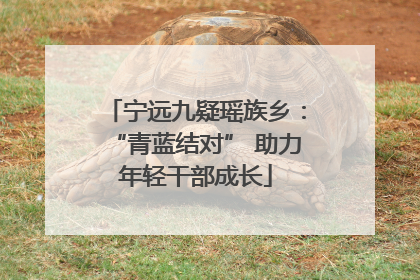 宁远九疑瑶族乡：“青蓝结对” 助力年轻干部成长