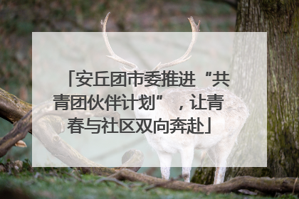 安丘团市委推进“共青团伙伴计划”，让青春与社区双向奔赴