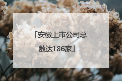 安徽上市公司总数达186家