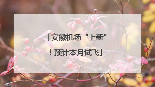 安徽机场“上新”！预计本月试飞