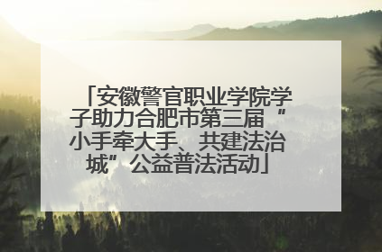 安徽警官职业学院学子助力合肥市第三届“小手牵大手、共建法治城”公益普法活动