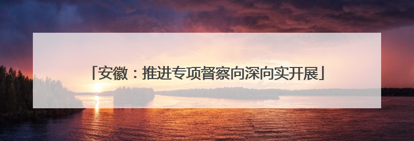 安徽：推进专项督察向深向实开展