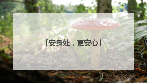 安身处，更安心