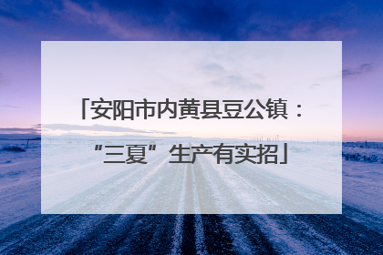 安阳市内黄县豆公镇：“三夏”生产有实招