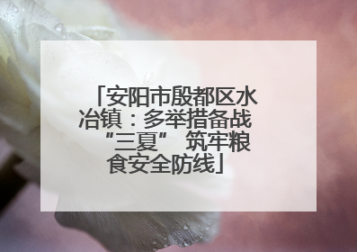 安阳市殷都区水冶镇：多举措备战“三夏” 筑牢粮食安全防线