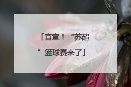 官宣！“苏超”篮球赛来了