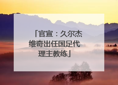 官宣：久尔杰维奇出任国足代理主教练
