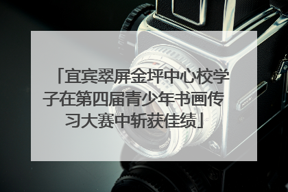 宜宾翠屏金坪中心校学子在第四届青少年书画传习大赛中斩获佳绩