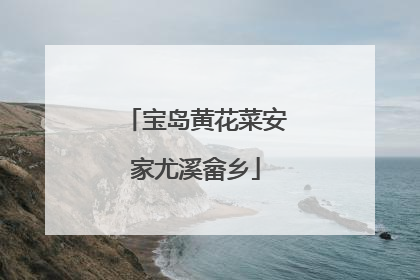 宝岛黄花菜安家尤溪畲乡