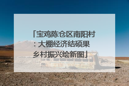 宝鸡陈仓区南阳村：大棚经济结硕果 乡村振兴绘新图