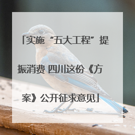 实施“五大工程”提振消费 四川这份《方案》公开征求意见