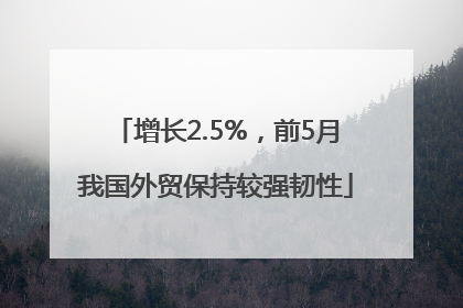 增长2.5%，前5月我国外贸保持较强韧性