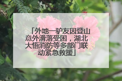 外地一驴友因登山意外滑落受困，湖北大悟消防等多部门联动紧急救援