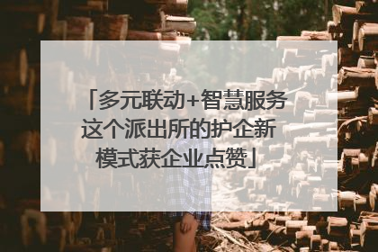 多元联动+智慧服务 这个派出所的护企新模式获企业点赞