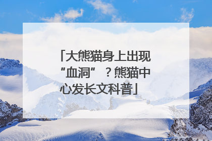 大熊猫身上出现“血洞”？熊猫中心发长文科普