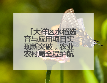 大祥区水稻选育与应用项目实现新突破，农业农村局全程护航成果斐然