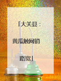 大关县：黄瓜触网销路宽