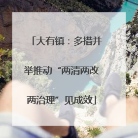 大有镇：多措并举推动“两清两改两治理”见成效