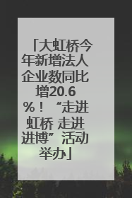 大虹桥今年新增法人企业数同比增20.6%！“走进虹桥 走进进博”活动举办