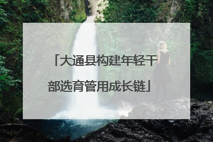 大通县构建年轻干部选育管用成长链