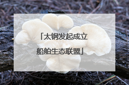 太钢发起成立船舶生态联盟