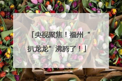 央视聚焦！福州“扒龙龙”沸腾了！