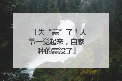 失“蒜”了！大爷一觉起来，自家种的蒜没了