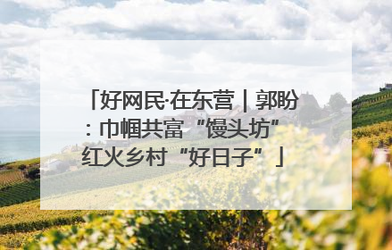 好网民·在东营｜郭盼：巾帼共富“馒头坊” 红火乡村“好日子”