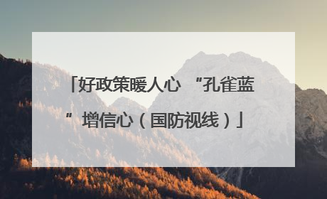 好政策暖人心 “孔雀蓝”增信心（国防视线）