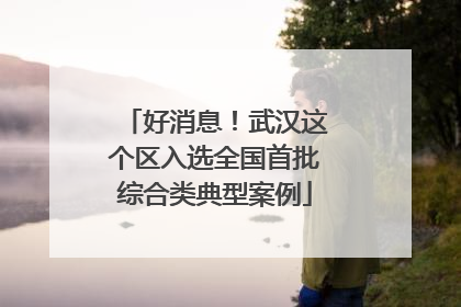 好消息！武汉这个区入选全国首批综合类典型案例