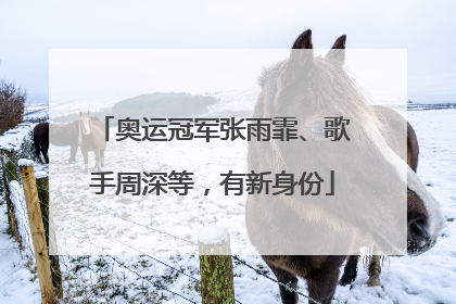 奥运冠军张雨霏、歌手周深等，有新身份