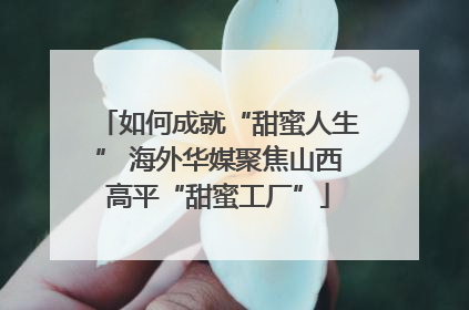 如何成就“甜蜜人生” 海外华媒聚焦山西高平“甜蜜工厂”