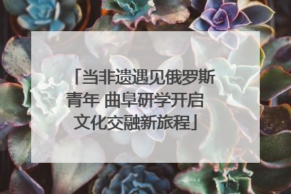 当非遗遇见俄罗斯青年 曲阜研学开启文化交融新旅程