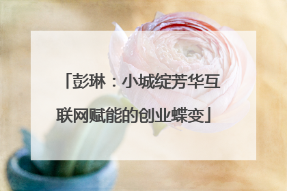 彭琳：小城绽芳华互联网赋能的创业蝶变