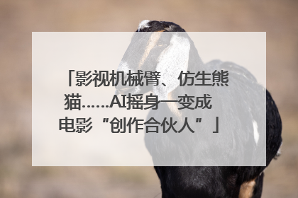 影视机械臂、仿生熊猫……AI摇身一变成电影“创作合伙人”