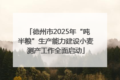 德州市2025年“吨半粮”生产能力建设小麦测产工作全面启动