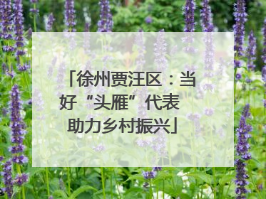 徐州贾汪区：当好“头雁”代表 助力乡村振兴